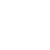 Dream Catcher