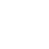 Dentist Description