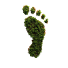 Ecological Footprint