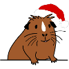 Christmas Guinea Pig Christmas Present