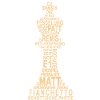 Schachbegriffe König Schach