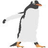 cute penguin
