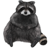 Sitting relaxed raccoon