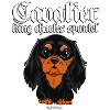 Cavalier King Charles Spaniel 3