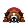 Bulldog Love: More People, More Love
