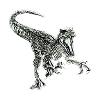 Velociraptor