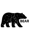 Big bear (b)