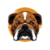 Bouledogue