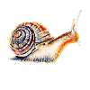 slug