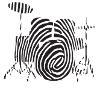 Drum fingerprint