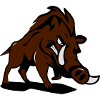 Wild boar dangerous