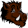Sanglier drôle de tête