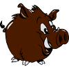 wildschwein süss lustig witzig