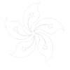 Hong Kong flower