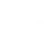 Camel on line