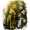 Wolf,Wolves,Fantasy,Animal,Animals,Nature,