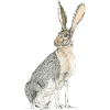 Rabbit with long spoons
