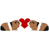 Meerschweinchenliebe Meerschweinchen Herz Liebe