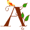 canary a