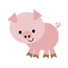 Petit cochon
