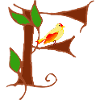 canary f