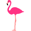 Flamant
