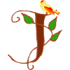 canary j
