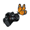 photographer