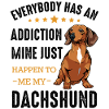 dachshund