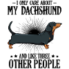 dachshund