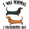dachshund