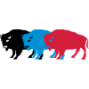 bisons