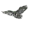 Aigle