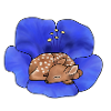 Deer in blossom