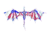 Drache