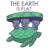flat earth conspiracy elephant turtle