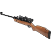 air rifle