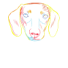 Stroke Dachshund