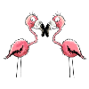 Best Friends Flamingos