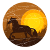 Cheval au coucher du soleil