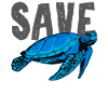 Save the turtles