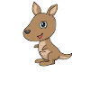 kangaroo