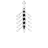 aviron