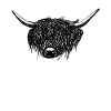 Highland Cattle