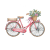 Amsterdam Fahrrad AMS Damenrad