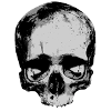 Totenkopf / Skull / Schädel