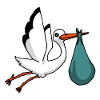 Cigogne, cigogne blanche, bébé, grossesse