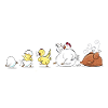 Evolution Of Chicken