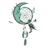 Dream catcher with moon and feathers