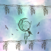 Dream catcher with moon and feathers